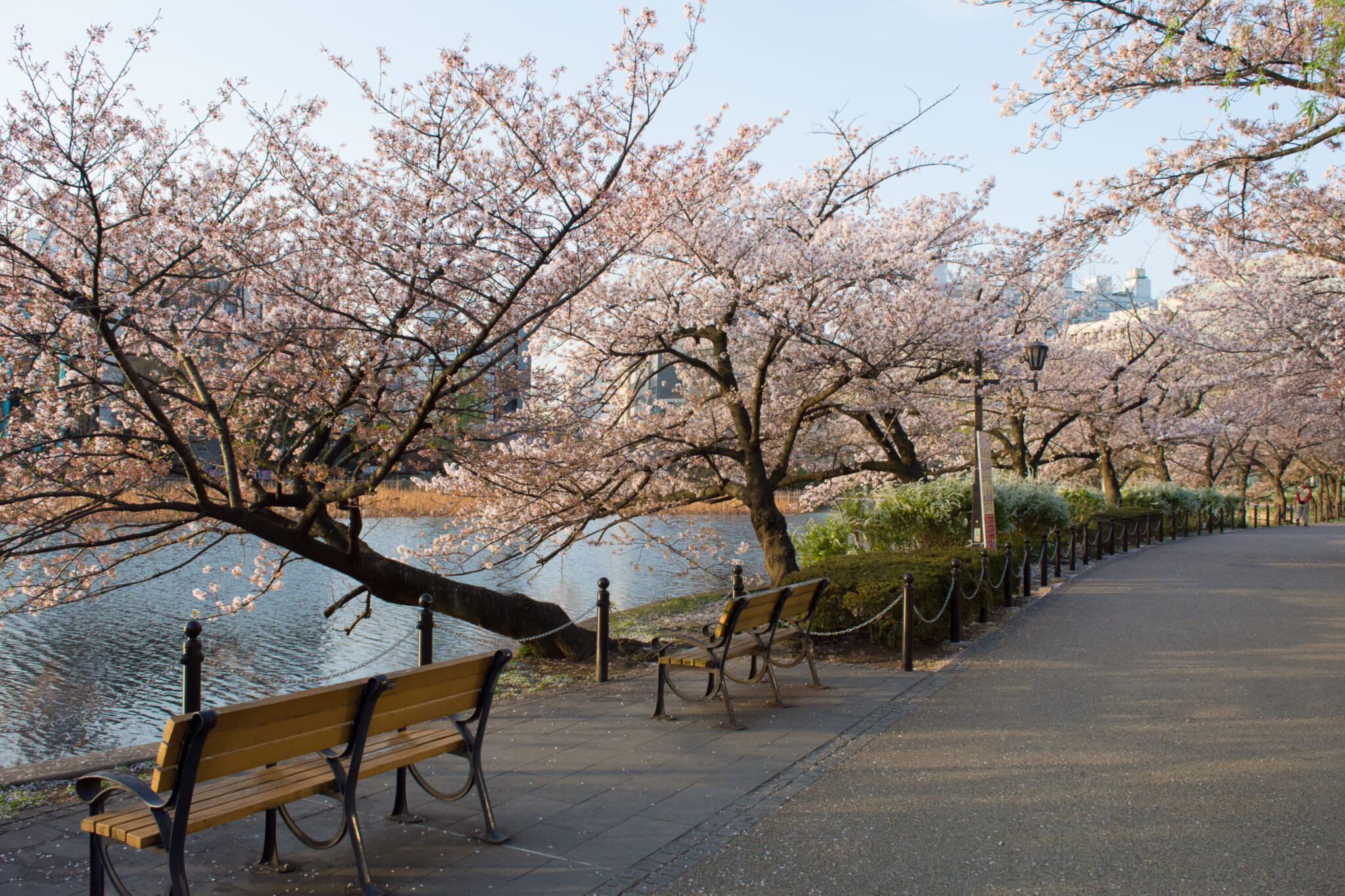 ueno park guide